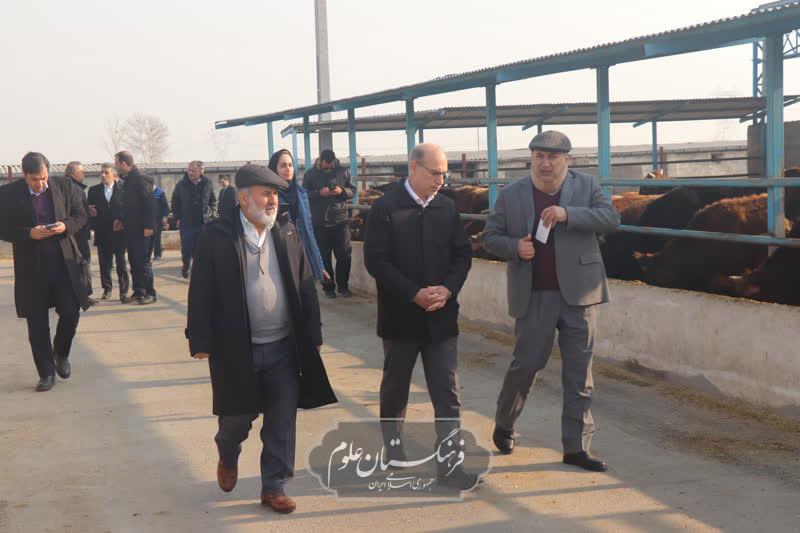 امنیت غذایی 7